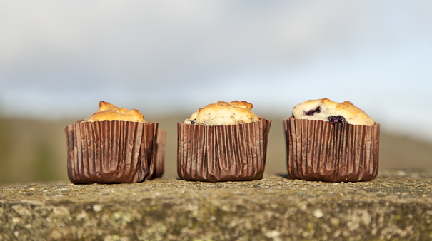 {vegan} blueberry and almond muffins