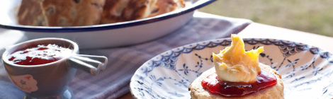 Campervan Friendly Welsh Cream Tea