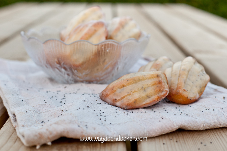 Lemon and Poppy Seed Madeleines