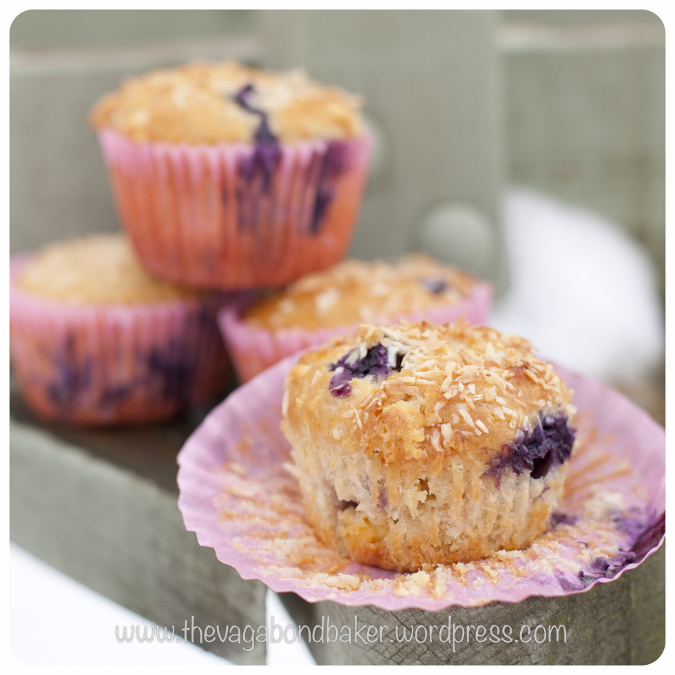 Blueberry Coconut and White Chocolate Muffins | Vagabond Baking