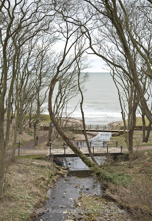 The path leads down to the sea