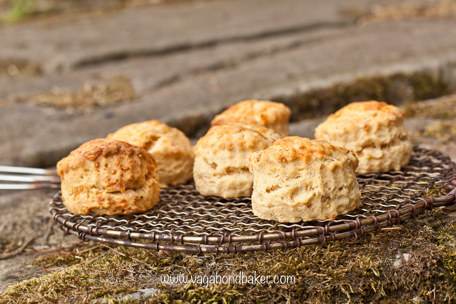 Cheese and Onion Super Scones | Vagabond Baking