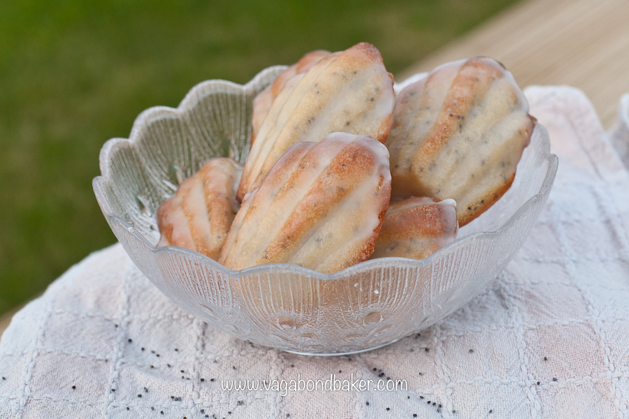 Lemon and Poppy Seed Madeleines