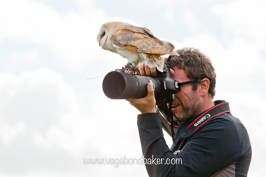 Beautiful Birds of Prey {via a Photography Workshop}
