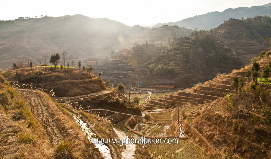 Dragon's Backbone Rice Terraces