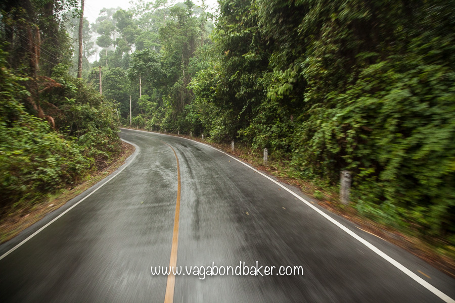 Khao Yai NP | Thailand-3284