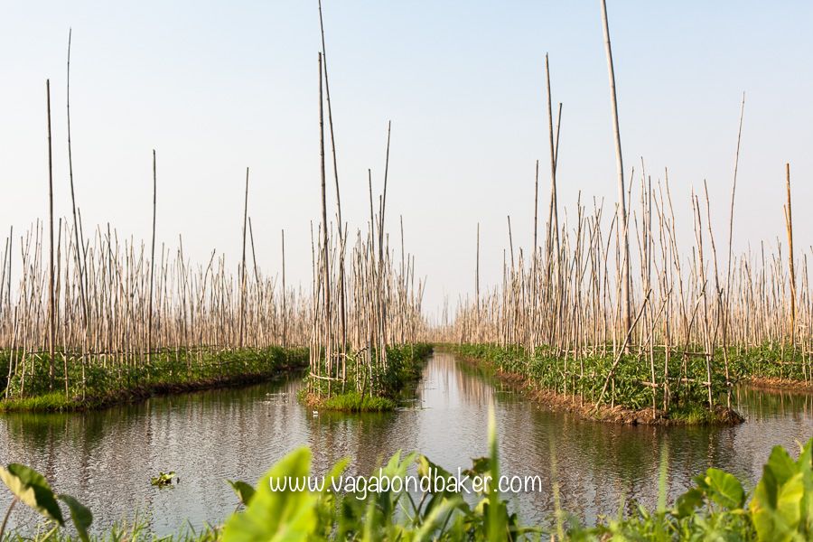 Inle Lake boat trip