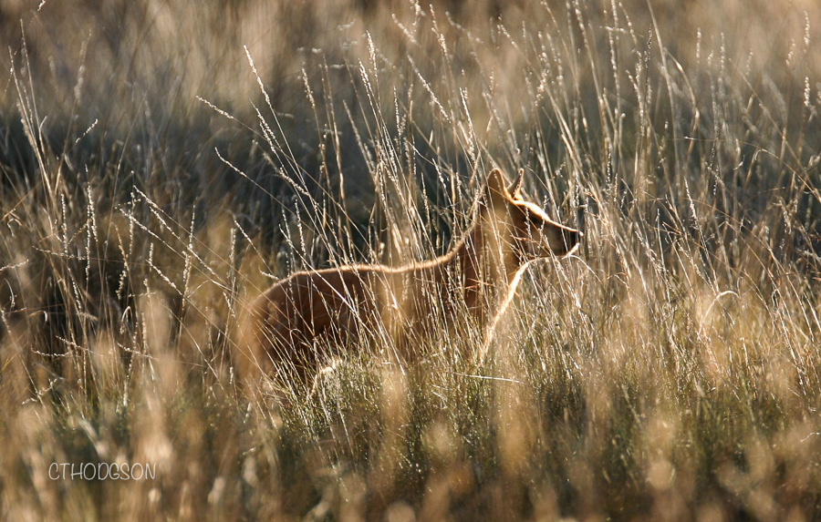 Broome to Exmouth Roadtrip