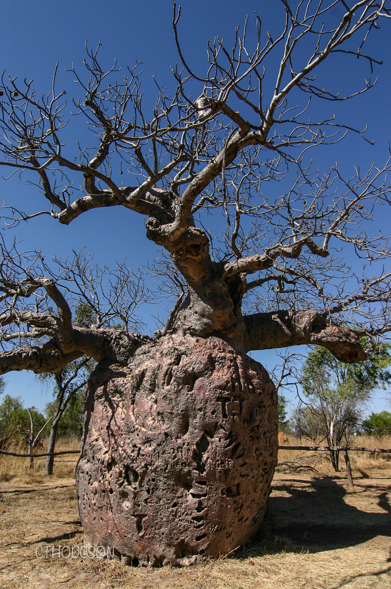 Australia Broome to Exmouth--13
