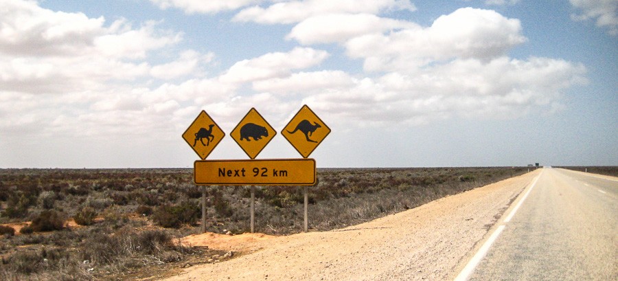 crossing the nullarbor