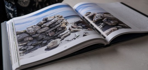 Shetland Book by Ann Cleeves