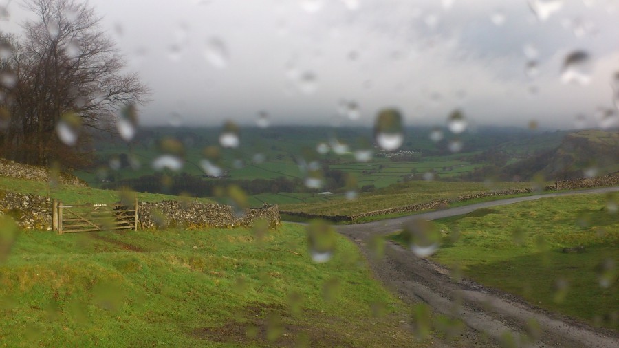 Unexpected things I love about living in a van.